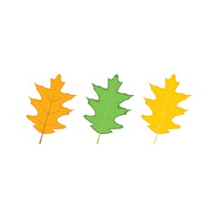 oak leaf vector icon simple illustration