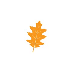 Fototapeta premium oak leaf vector icon simple illustration
