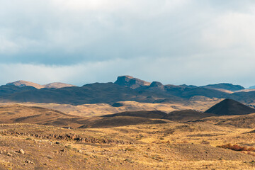 Bright and colorful autumn natural scenery, strange vegetation pictures, located in Torres del Paine National Park, Chile, South America
