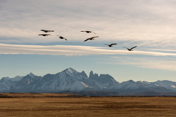 Bright and colorful autumn natural scenery, strange vegetation pictures, located in Torres del...