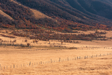 Stunning canyon, beautiful scenery in autumn.