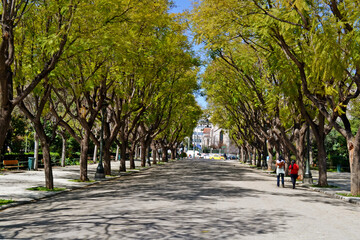 Tree lined road near Zappeion in Athens' National Garden.