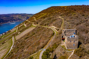 Fototapete bei efototapeten.de bestellen   