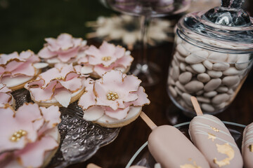 Beautiful luxury wedding candy bar on table with sweets and flower with hand made ice cream