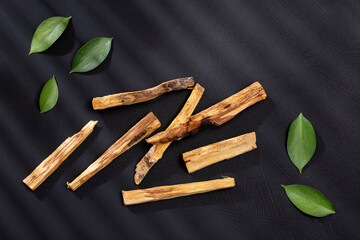 Bursera graveolens - Sacred tree of palo santo
