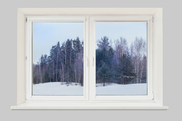 View from the window winter forest