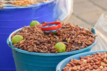 mexican food. grasshopers ingredient food.