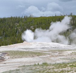 Late Spring in Yellowstone National Park: Old Faithful Geyser Starting to Spout in the Old Faithful Historic District in the Upper Geyser Basin Area