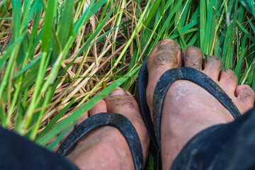 Muddy soiled male feet in the bush - Powered by Adobe