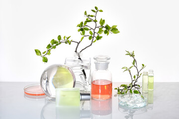 Natural Green laboratory. Abstract floral arrangement. Orange liquid product in transparent chemical jar. Reflections of leaves distorted in water. Springtime green twigs in jars and tubes.