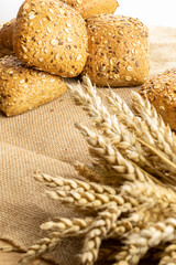 Home baked bread. Rye bakery with crusty loaves and crumbs. Fresh rustic traditional bread with wheat grain ear or spike plant on natural cotton background. Design element for bakery product label.