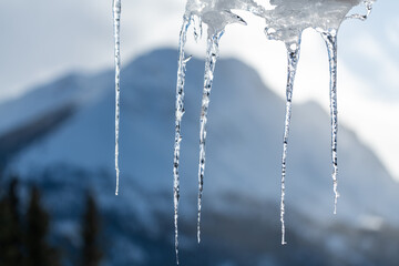 Close up shot view of icicles, ice crystals that have dripped down from a rooftop in winter, cold freezing season in northern Canada. Blurred mountain background behind. 