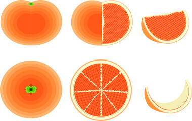 柑橘　素材　セット　イラスト