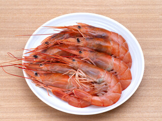 アルゼンチンアカエビ