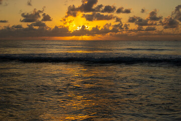 Golden morning