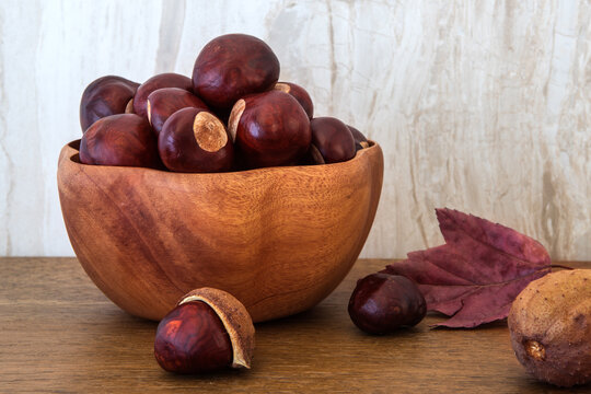 Buckeye Chestnut in wooden bowl on wooden surface. Side View formation of Fresh conkers.
