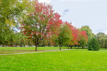 Gorgeous walk in the park. John Hendry Park in Vancouver. Canada.