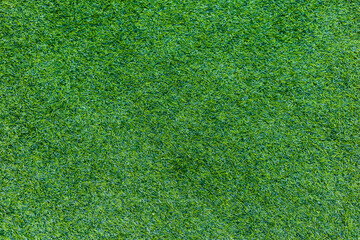 Green grass texture from a field , Green background