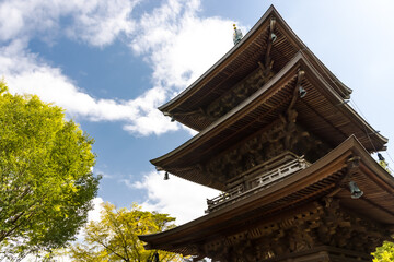(東京都ｰ風景)春の豪徳寺三重塔風景３