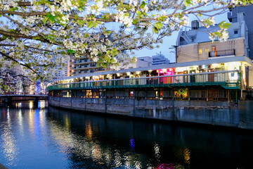 【神奈川】夕暮れ時の都橋商店街（春）