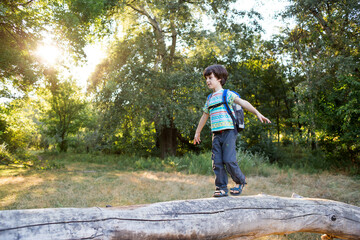 A boy with a backpack walks along the trunk of a fallen tree, a child learns to keep his balance