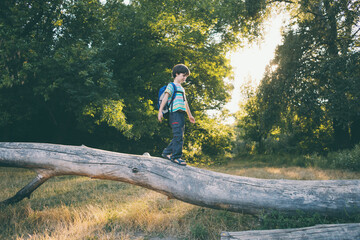 A boy with a backpack walks along the trunk of a fallen tree, a child learns to keep his balance