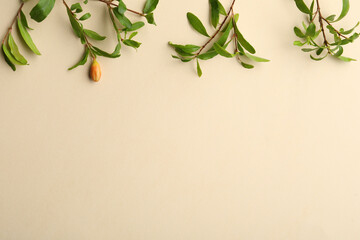 Pomegranate branches with green leaves and bud on beige background, flat lay. Space for text