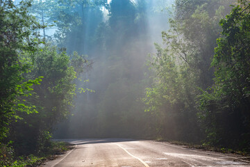 Sun rays through mist illumining a curved scenic road surrounded by beautiful green forest with light effects and shadows.  Kaeng Krachan National Park, Phetchaburi - Thailand