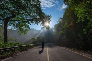 Fototapeta premium Sun rays through mist illumining a curved scenic road surrounded by beautiful green forest with light effects and shadows. Kaeng Krachan National Park, Phetchaburi - Thailand
