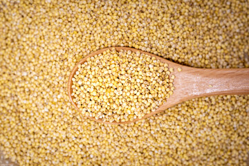 Millet in a wooden spoon