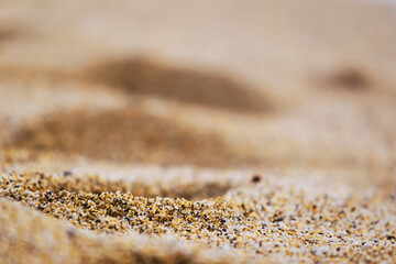 close up shot of the sand. beach