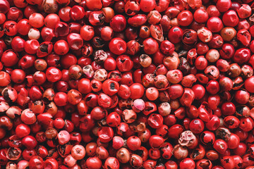 Texture of red peppercorns as background