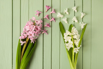 Beautiful blooming hyacinth plants on wooden background