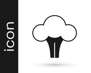 Black Broccoli icon isolated on white background. Vector