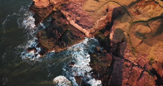 4k overhead aerial footage of red sandstone Seaton Cliffs and Caves near Arbroath, Angus coast, Scotland at sunrise. Golden light on cliffs and sea stack, waves crashing on rock, birds in flight.