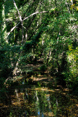 River Hueznar flowing in the woods of Seville. Spain