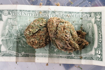 american dollars and cannabis medical marijuana business concept