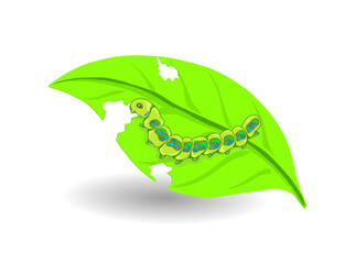 leaf and caterpillar vector illustration. caterpillars are eating leaves