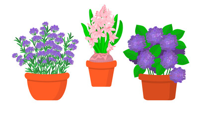 Garden flowers in pots flat vector illustration set.Hydrangea bush, lavender blossom and bulb with hyacinth flowers isolated botanical design.Lilac and pink outdoor plants on white background.