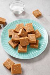 Fresh homemade peanut butter fudge or caramel fudge on light gray background
