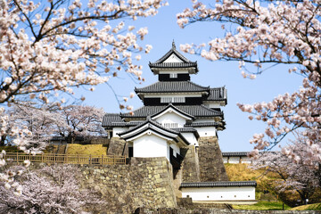 満開の桜と福島県白河市の小峰城