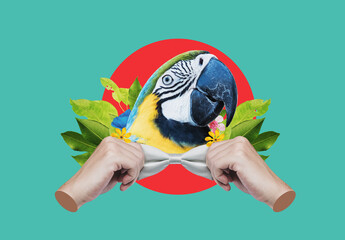 Digital collage modern art. Macaw head, with hands tying bow 
