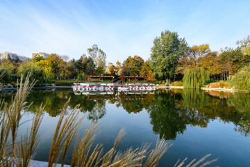 Landscape with the lake and green and yellow trees in Drumul Taberei Park, also known as Moghioros...