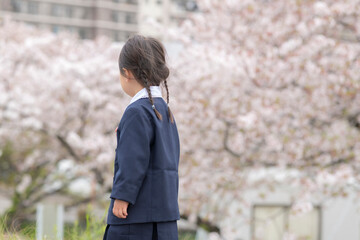 桜の河川敷を歩く幼稚園の女の子