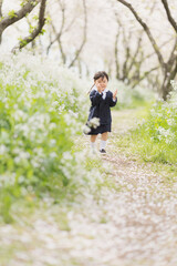 桜の並木を走るの幼稚園児