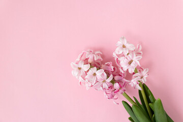 Fototapeta na wymiar hyacinth flowers on pastel pink colors with space for your text. Spring coming concept. Spring or summer background.