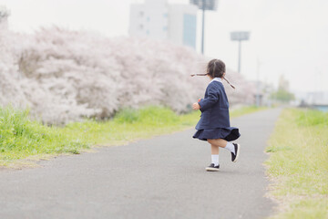 桜の河川敷を歩く幼稚園の女の子