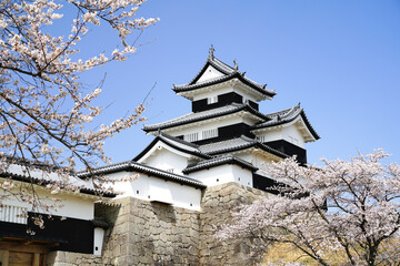 満開の桜と福島県白河市の小峰城