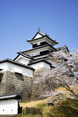 満開の桜と福島県白河市の小峰城