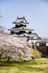 満開の桜と福島県白河市の小峰城